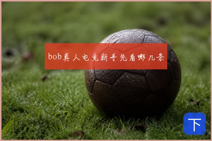 bob真人电竞新手先看哪几条